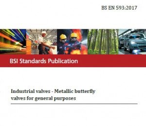 دانلود استاندارد BS EN 593-2017