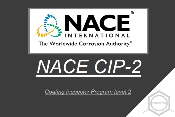 NACE-CIP-2