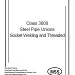 MSS SP-83 2006